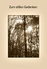 Ansicht 7 - Sterbebildkarte Wald