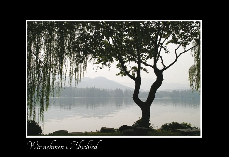 Ansicht 3 - Trauerkarte Baum am See quer