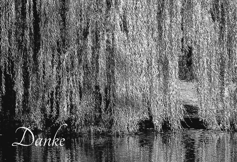 Ansicht 3 - Dankeskarte Flusslandschaft quer