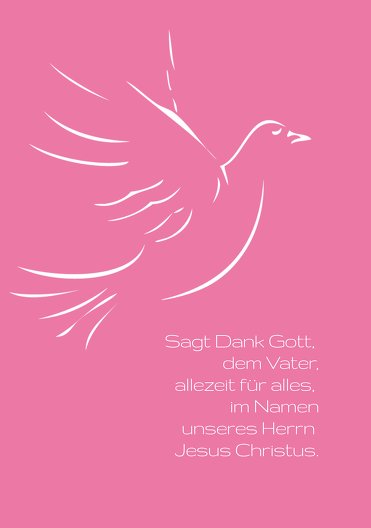 Ansicht 3 - Kommunion Dankeskarte Pigeon