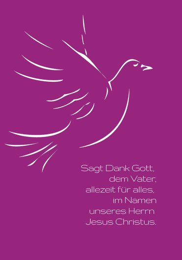Ansicht 3 - Kommunion Dankeskarte Pigeon