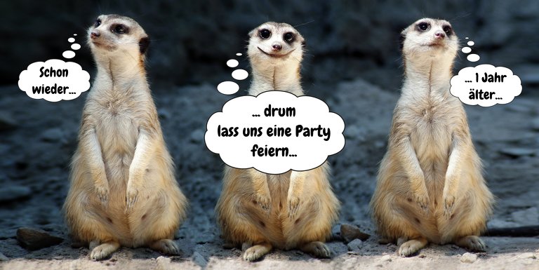 Ansicht 3 - Einladungskarte zum Geburtstag Erdmännchen