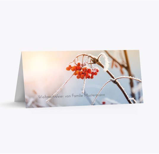 Tischkarte Reif Grau 100x44mm