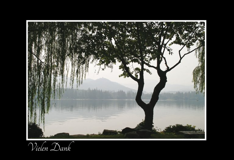 Ansicht 3 - Dankeskarte Baum am See quer