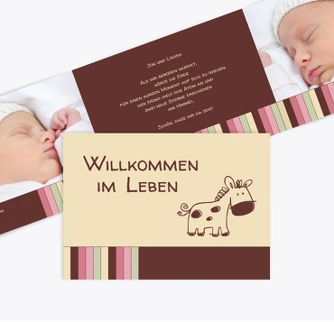 Babykarte Zwillinge Retro