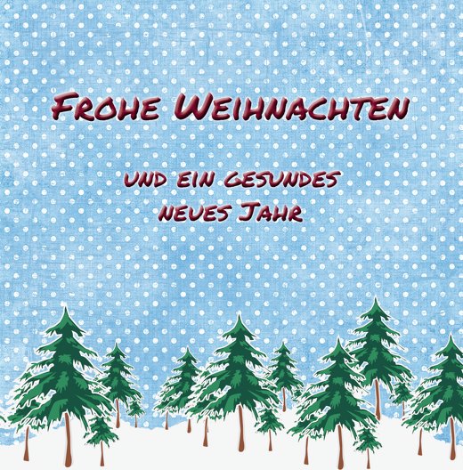 Ansicht 3 - Foto Grußkarte Schneewald