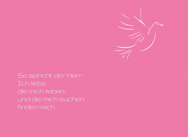 Ansicht 4 - Kommunion Dankeskarte Pigeon