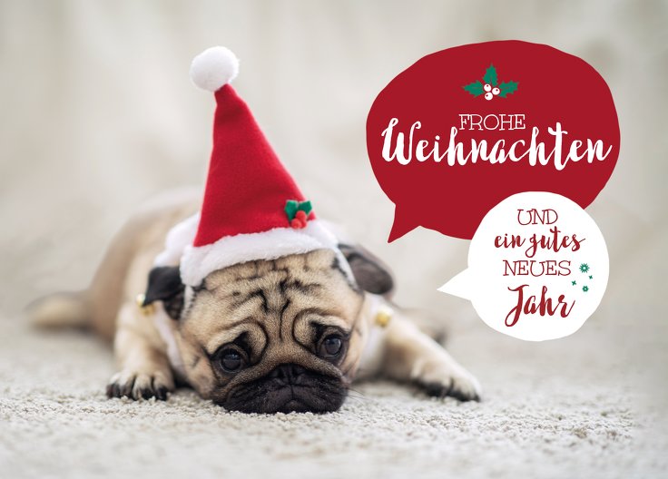 Ansicht 2 - Grußkarte Weihnachtsmops