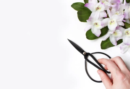 Weiße und zart violette Orchideen mit Schere als elegante Inspiration für Hochzeitskarten