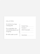 Product preview