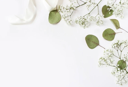 Zartes Schleierkraut und Eukalyptus auf hellem Hintergrund für Save the Date Karten zur Hochzeit