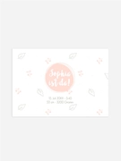 Product preview