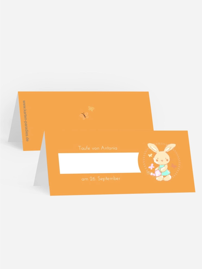 Hase Hase