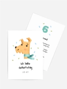 Product preview
