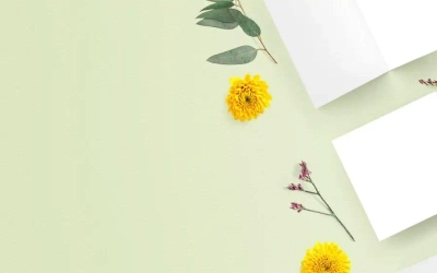 Slider background