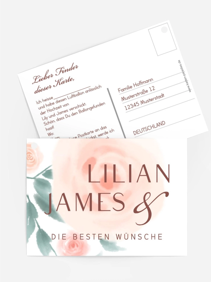 Zentrale Rose