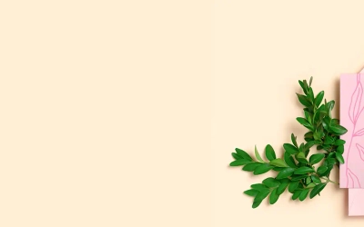 Slider background