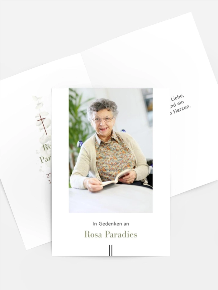 Eukalyptuszweig