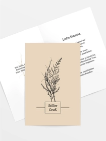 Getrocknete Blume Getrocknete Blume