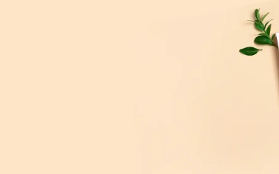 Slider background