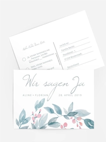 Blauregen