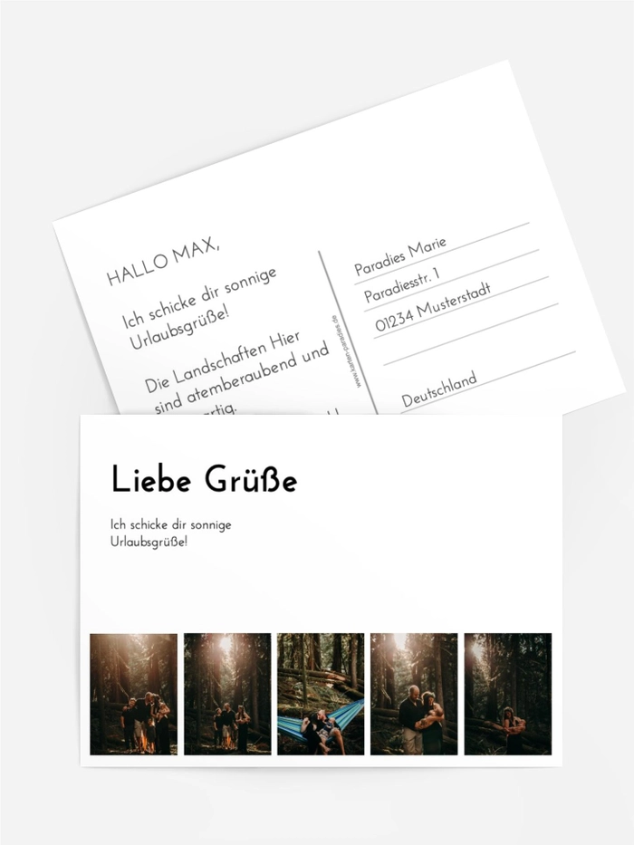 Foto-Postkarten Waldabend