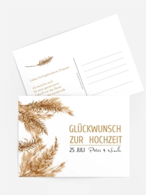 Kornfeldliebe