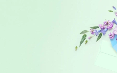 Slider background
