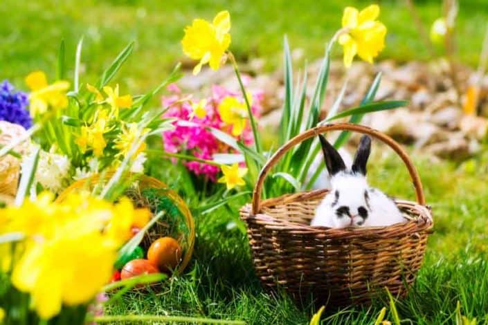 Ostergeschenke für Kinder: Kleine und große Überraschungen - Artikel öffnen