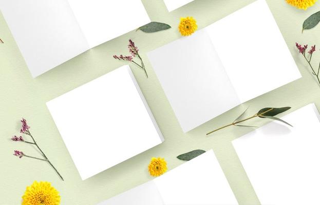 Blankokarten für eigene Designs