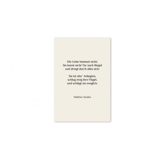 transparentes Einlegeblatt 114 x 170 mm transparent