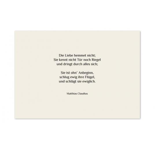 transparentes Einlegeblatt 210 x 147 mm transparent