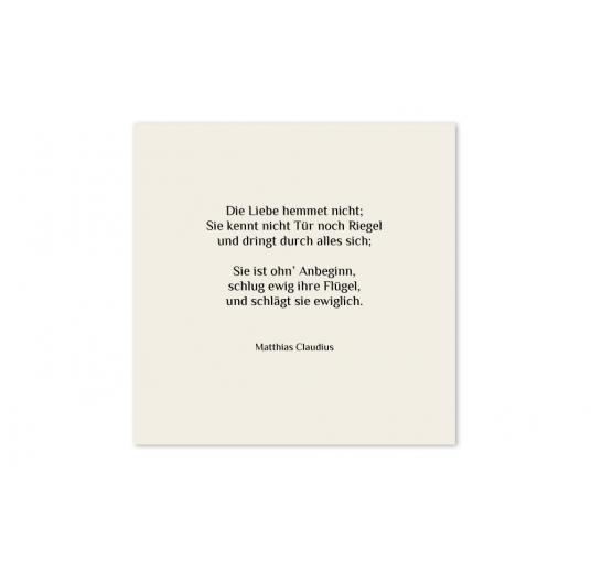 transparentes Einlegeblatt 145 x 145 mm transparent