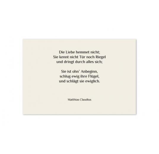 transparentes Einlegeblatt 170 x 114 mm transparent