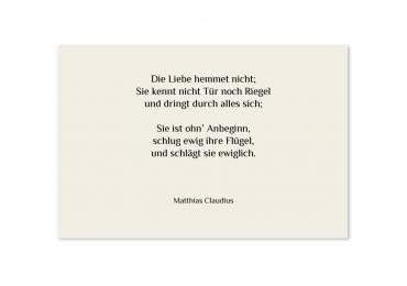 transparentes Einlegeblatt 170 x 114 mm