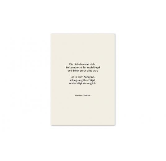 transparentes Einlegeblatt 147 x 210 mm transparent