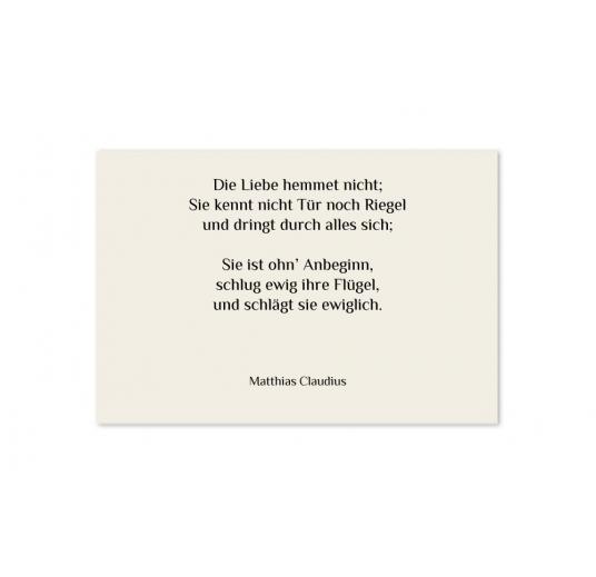 transparentes Einlegeblatt 146 x 100 mm transparent