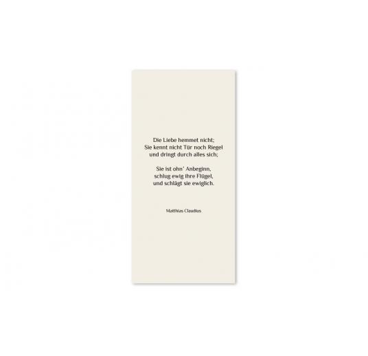 transparentes Einlegeblatt 105 x 215 mm transparent