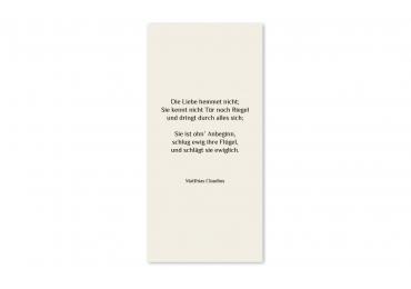 transparentes Einlegeblatt 105 x 215 mm