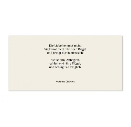 transparentes Einlegeblatt 215 x 105 mm transparent