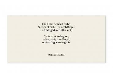 transparentes Einlegeblatt 215 x 105 mm