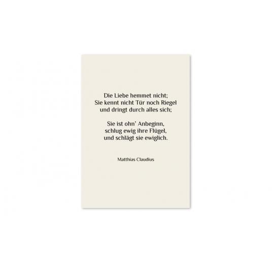 transparentes Einlegeblatt 105 x 148 mm transparent